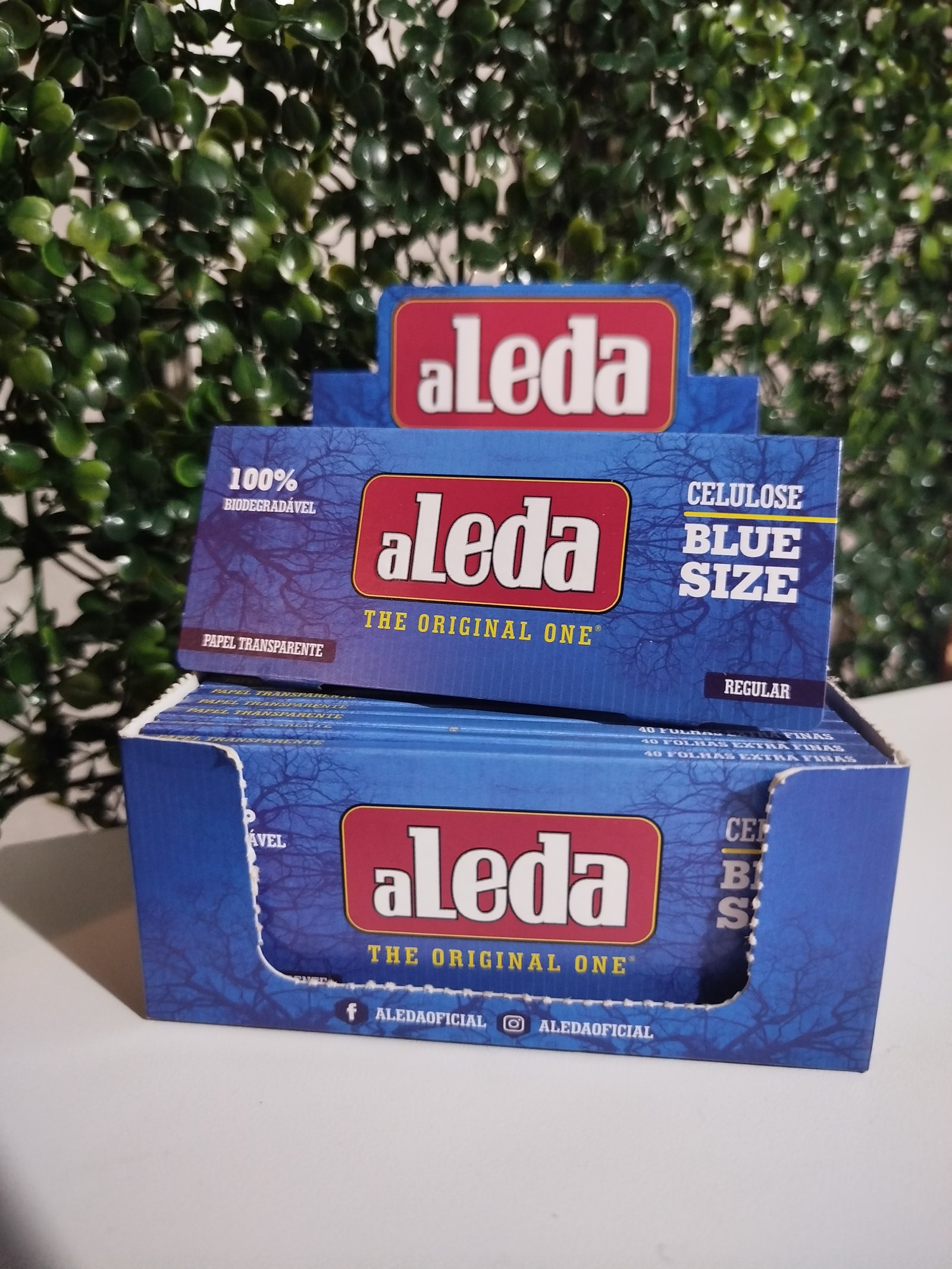 aleda BLUE size 